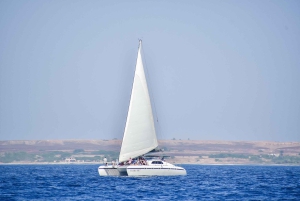 3-часовое приключение на катамаране по водам острова Сал