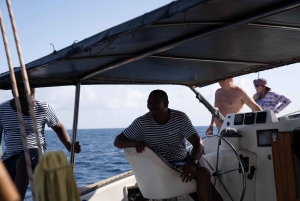 3-часовое приключение на катамаране по водам острова Сал