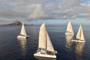 3-часовое приключение на катамаране по водам острова Сал