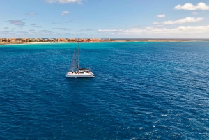 3-часовое приключение на катамаране по водам острова Сал