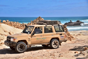 4x4 Boa Vista Nord Jeep Expedition 4h