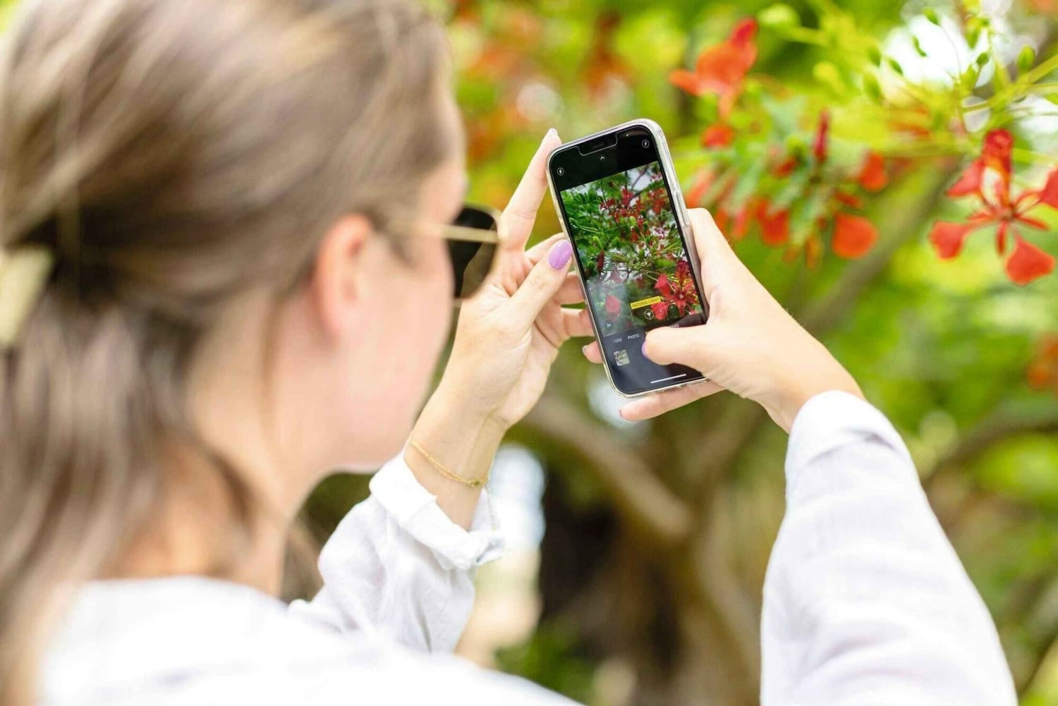 大人限定のサルのツアー、ロブスター ランチとソルトレイク付き