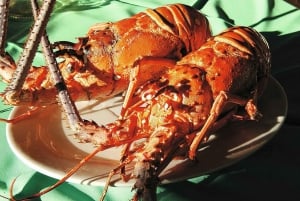 Adults Only Tour of Sal with Lobster Lunch and Salt Lake