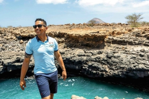 大人限定のサルのツアー、ロブスター ランチとソルトレイク付き