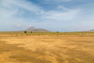 大人限定のサルのツアー、ロブスター ランチとソルトレイク付き