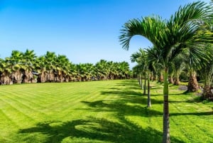 大人限定のサルのツアー、ロブスター ランチとソルトレイク付き