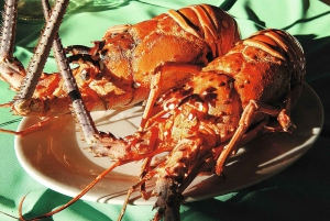 大人限定のサルのツアー、ロブスター ランチとソルトレイク付き