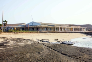 大人限定のサルのツアー、ロブスター ランチとソルトレイク付き