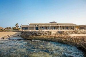 大人限定のサルのツアー、ロブスター ランチとソルトレイク付き