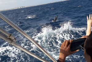 Fantastisk heldagsbåtutleie - øya Sal, Kapp Verde