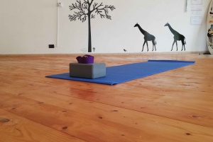 Ancient Yoga Classes in Jungle Studio