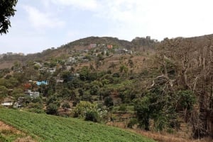 Assomada: Boa Entrada Valley Guided Walking Tour