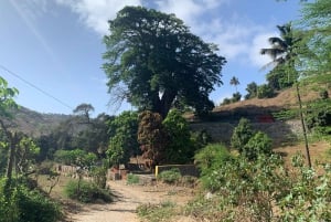 Assomada: Boa Entrada Valley Guided Walking Tour