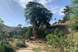 Assomada: Guidet gåtur i Boa Entrada-dalen