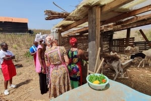 Assomada: Farm Tour with Lunch and Cooking Class