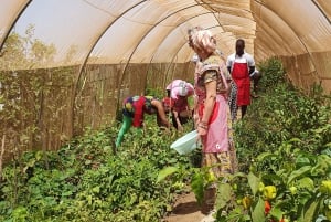 Assomada: Farm Tour with Lunch and Cooking Class
