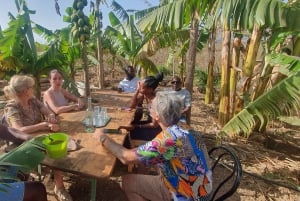 Assomada: Farm Tour with Lunch and Cooking Class