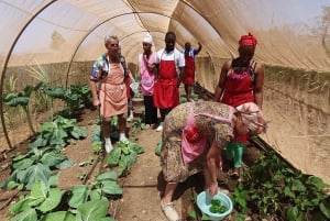 Assomada: Farm Tour with Lunch and Cooking Class