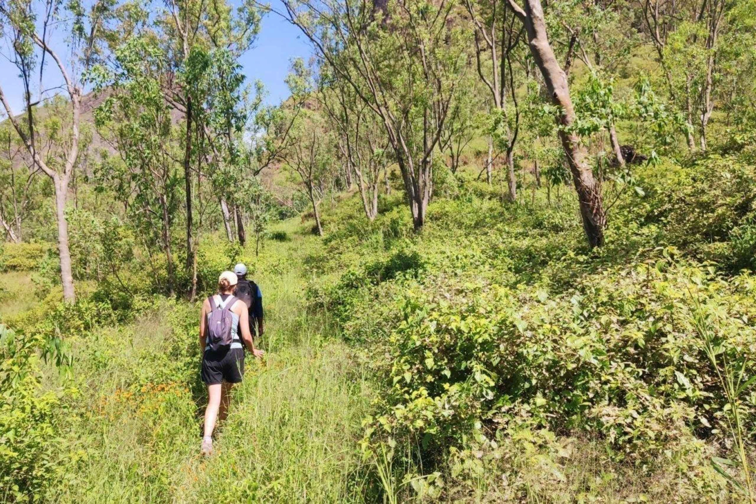 Assomada: Mato Dento Hiking Tour with Lunch