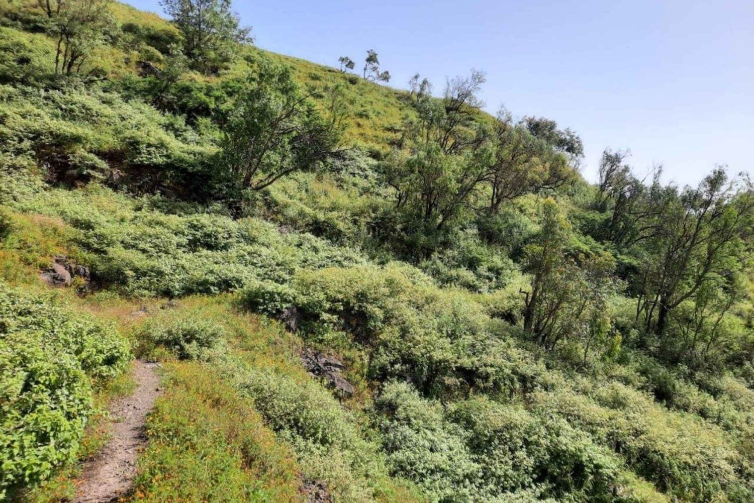 Assomada: Mato Dento Hiking Tour with Lunch