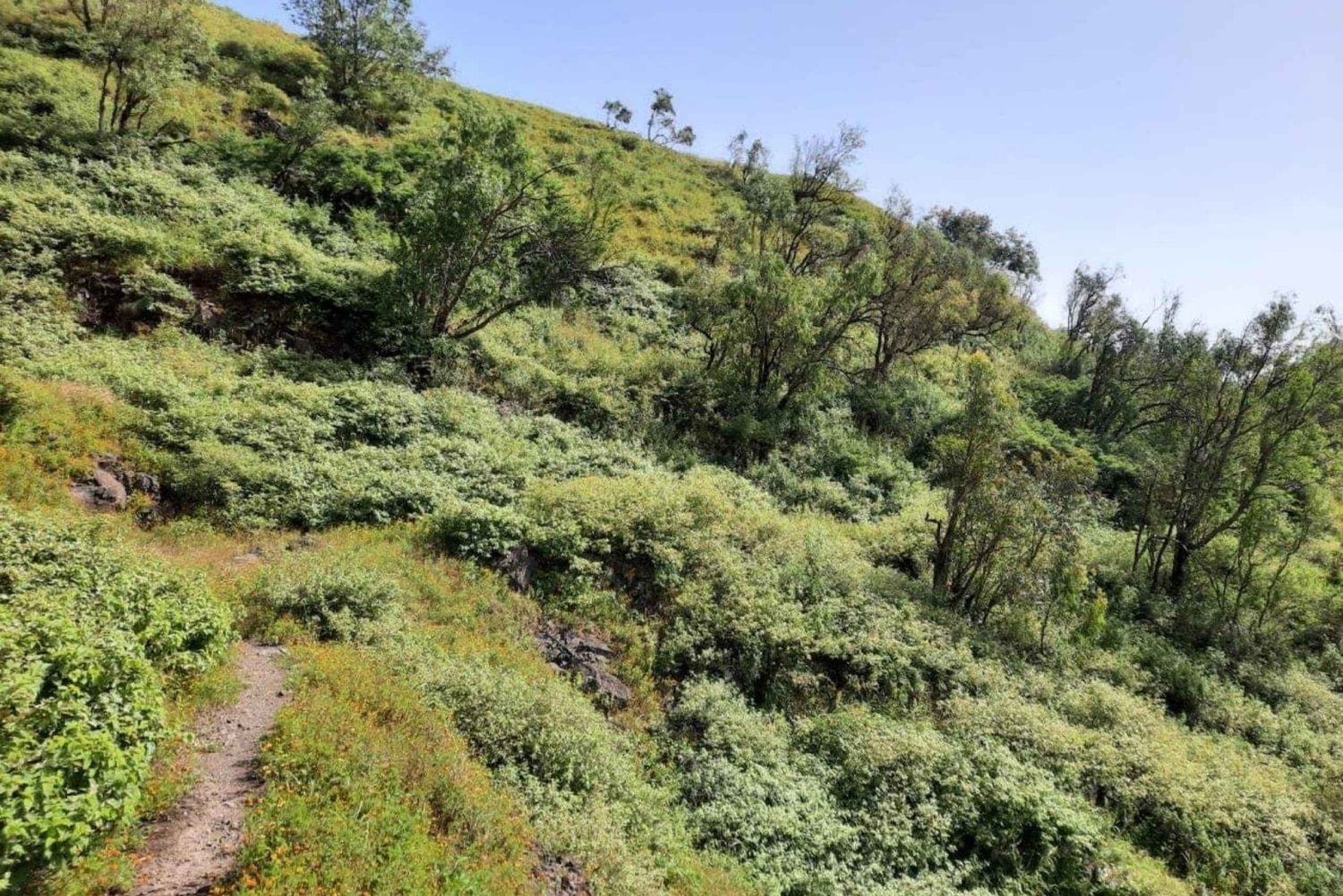 Assomada: Mato Dento-wandeltocht met lunch