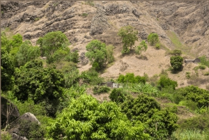 Assomada: Mato Dento Hiking Tour with Lunch