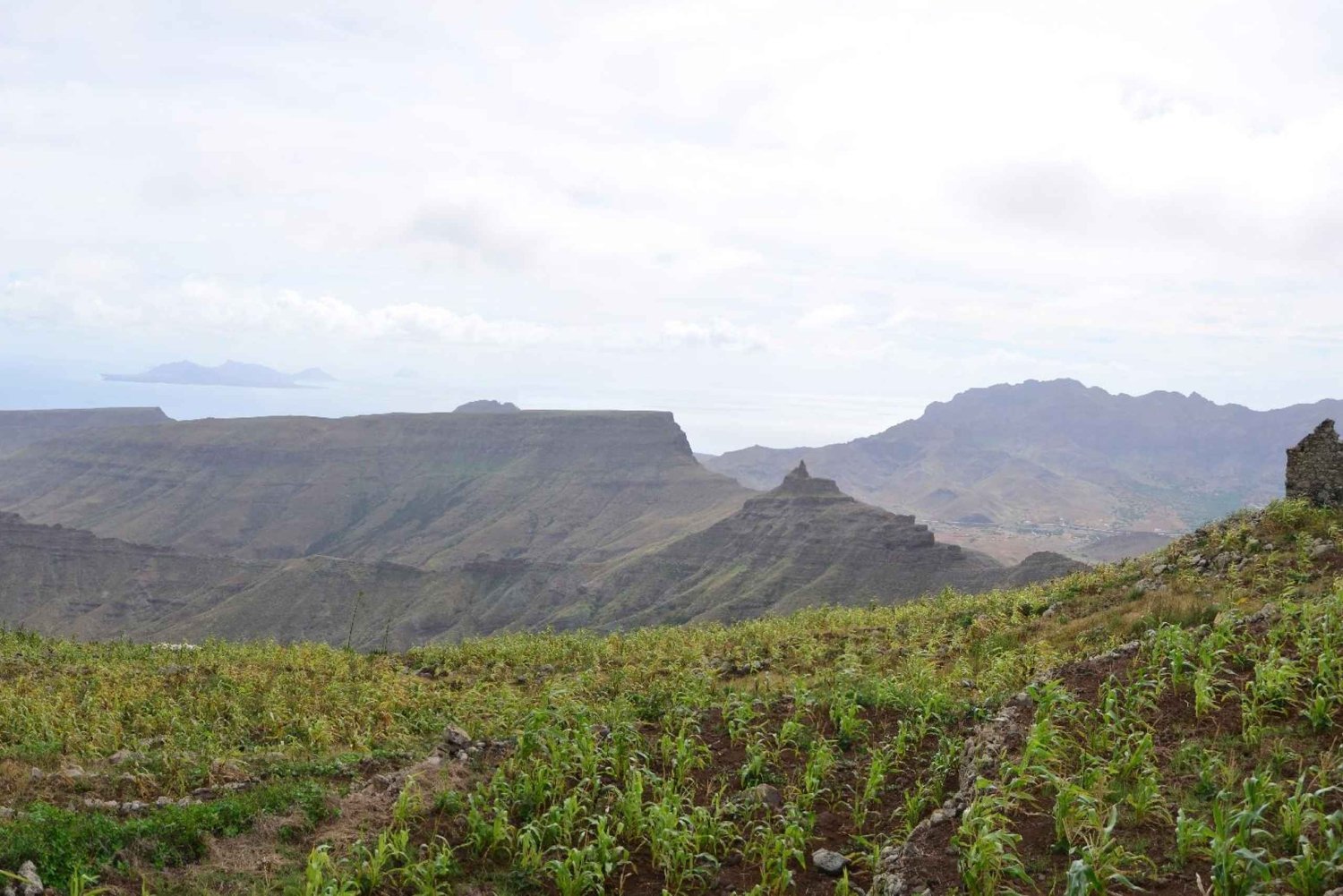 Backpack Hike – Monte Verde Natutal Park