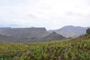 Backpack Hike – Monte Verde Natutal Park