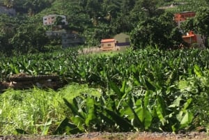 Best of São Vicente & Santo Antão: 2-Day Tour, Guide, Ferry