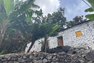 Il meglio di São Vicente e Santo Antão: tour di 2 giorni, guida, traghetto