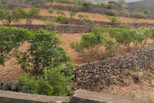 Il meglio di São Vicente e Santo Antão: tour di 2 giorni, guida, traghetto