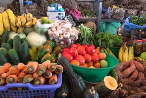 Il meglio di São Vicente e Santo Antão: tour di 2 giorni, guida, traghetto