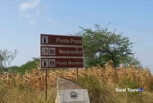 Meilleur cours de poterie sur l'île de Santiago