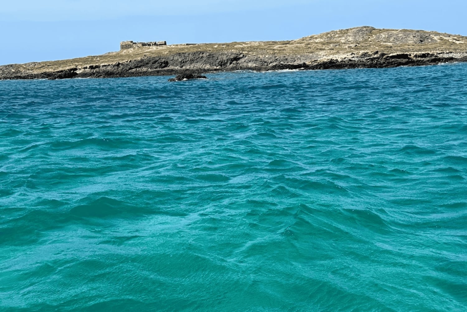 Boa Viata - Small-Group Whale Watching Tour