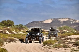 Boa Vista: 4-tunnin Buggy 1000cc Eteläsaari-seikkailu