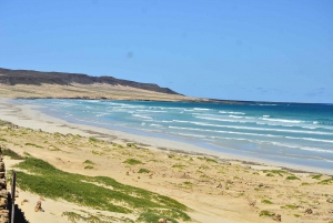Boa Vista: 4x4 Tour - Rabil, Shipwreck, Sal Rei & Beach Bar