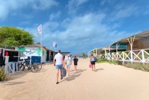 Boa vista: Beautiful beaches, turtles & Snorkel Djeu island