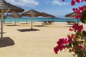 Boa vista: Beautiful beaches, turtles & Snorkel Djeu island