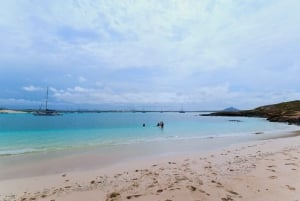 Boa vista: Beautiful beaches, turtles & Snorkel Djeu island