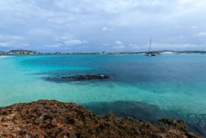 Boa vista: Beautiful beaches, turtles & Snorkel Djeu island