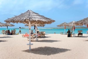 Boa vista: Beautiful beaches, turtles & Snorkel Djeu island