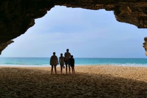 Boa vista: Beautiful beaches, turtles & Snorkel Djeu island