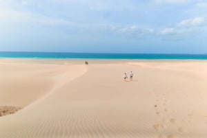 Boa vista: Beautiful beaches, turtles & Snorkel Djeu island