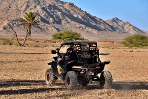 Boa Vista: Buggy-eventyr i Death Valley 2 timer