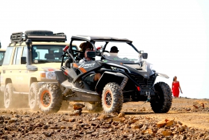 Boa Vista: Buggy South Island Adventure 4h