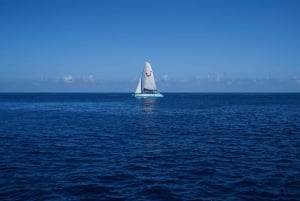 Tour en catamarán por Boa Vista: crucero por la bahía con todo incluido