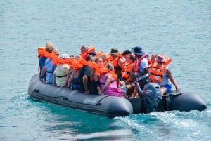 Boa Vista katamaraaniretki: all inclusive -lahtiristeily