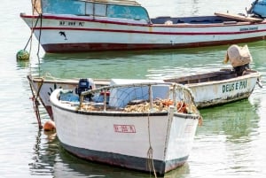 Boa Vista - całodniowa wycieczka 4x4 na wyspę z lunchem przy plaży
