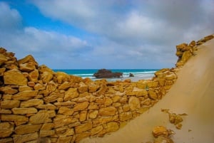 Boa Vista : visite combinée d'une jounée avec déjeuner