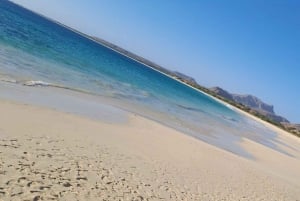 Boa Vista : visite combinée d'une jounée avec déjeuner